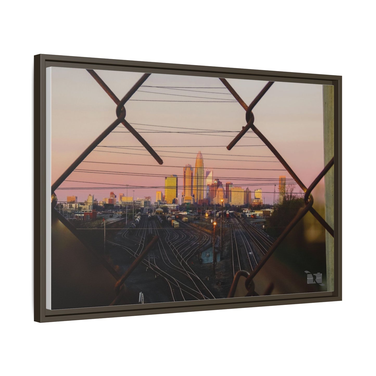 Charlotte Framed in Fence