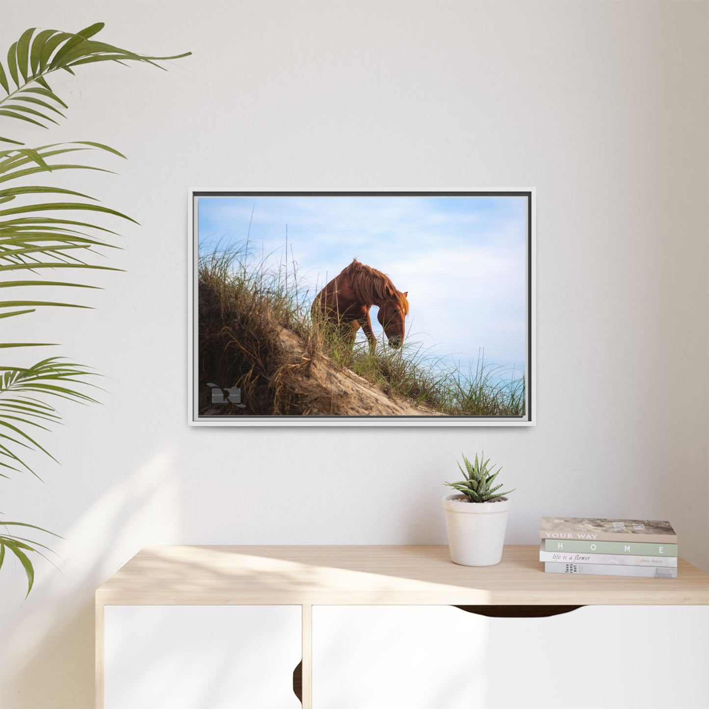 Outerbanks Horse 1