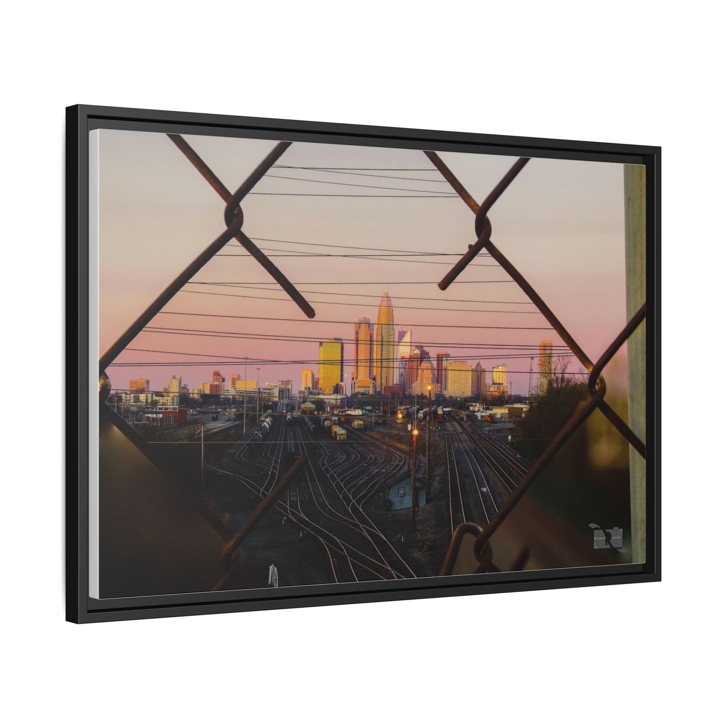 Charlotte Framed in Fence