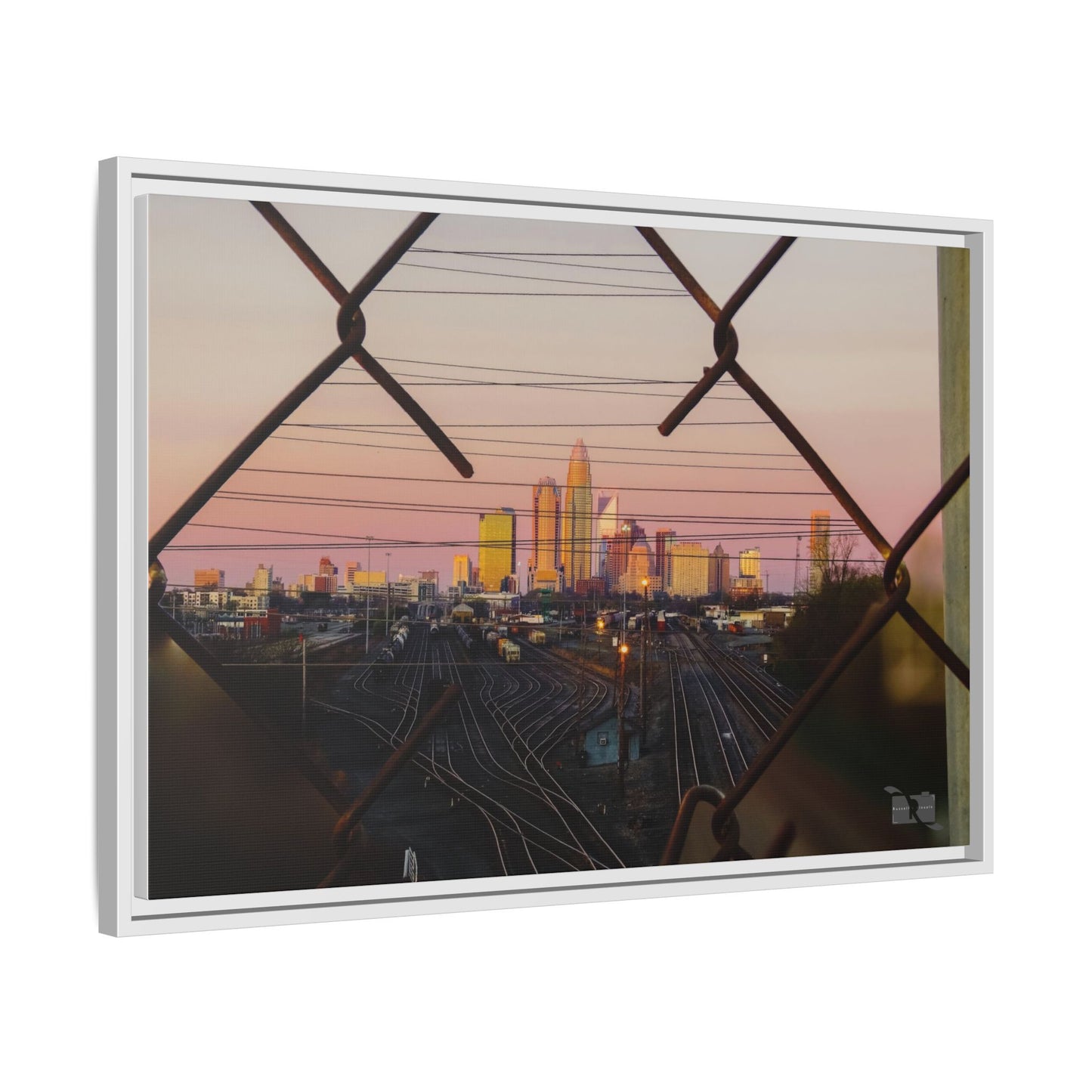 Charlotte Framed in Fence